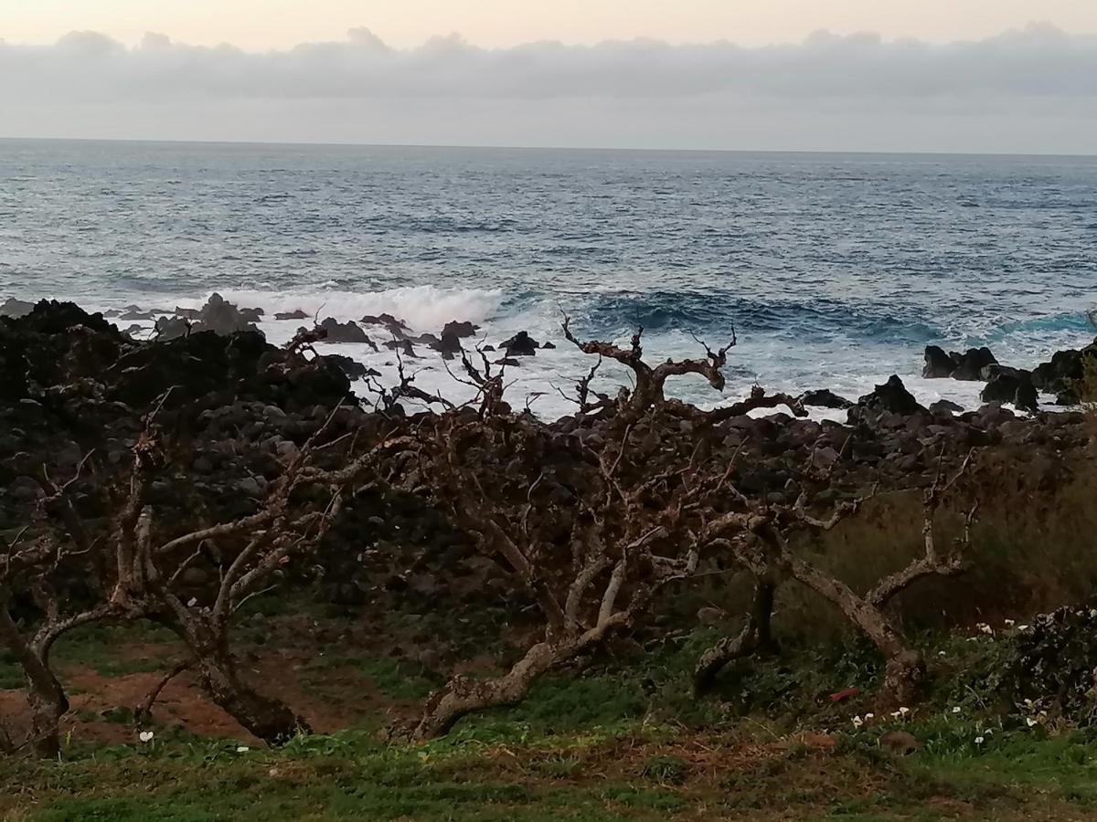 A Casa Da Formosinha Villa Madalena  Eksteriør bilde