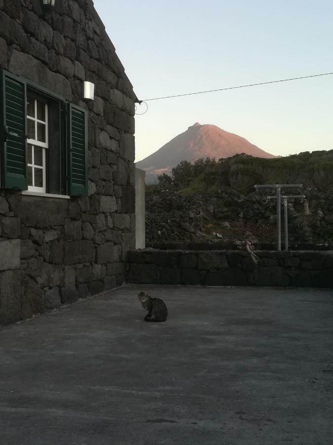 A Casa Da Formosinha Villa Madalena  Eksteriør bilde